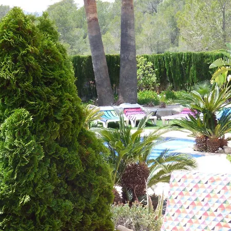 Harley Pool * Miami Playa